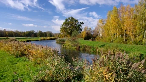 Spree Forest in fall, Brandenburg Vídeos de archivo 71448187