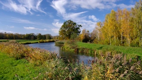 Spree Forest in fall, Brandenburg Stock Footage 102262027