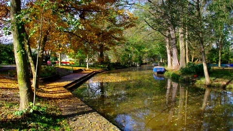 Spree Forest harbour in Raddusch in fall Stock Footage 83587655