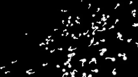 Sprem particle Stock Footage 2924229