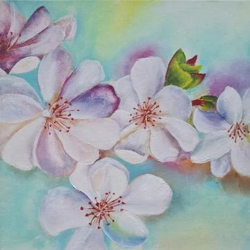 A sprig of cherry blossoms in spring Stock Illustration