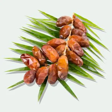 Sprig with dates Stock Illustration