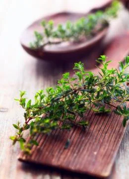 Sprig of fresh thyme Stock Photos