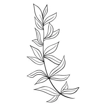 Sprig with leaves hand drawn vector illustration Stock Illustration