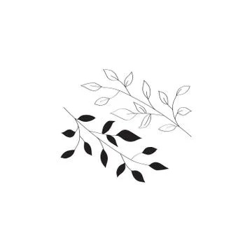Sprig with leaves vector image doodle style. Isolated on a white background.  Stock Illustration