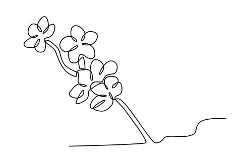 A sprig of lush cherry blossoms Stock Illustration