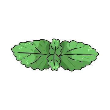 Sprig of mint illustration Stock Illustration