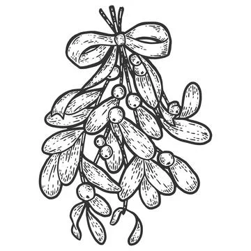 Sprig of mistletoe. Sketch scratch board imitation. Black and white. Stock Illustration