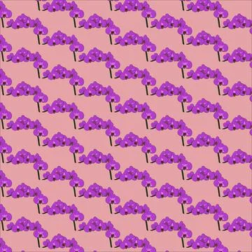 Sprig of orchids Stock Illustration