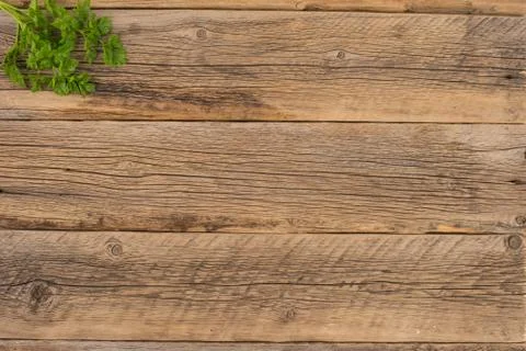 Sprig of parsley on an old wooden table. Stock Photos