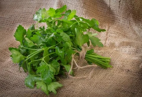 Sprig of parsley Stock Photos
