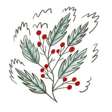 Sprig with red berries on a white background Stock Illustration