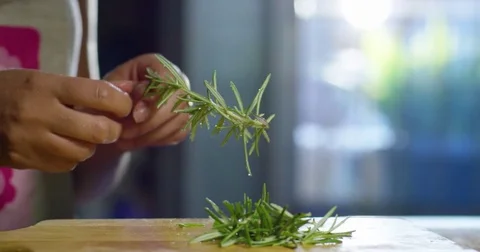 A Sprig Of Rosemary 4k Stock Footage 79448298