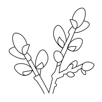 Sprig of willow in hand drawn doodle style isolated on white background. Desi Stock Illustration