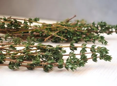 Sprigs of fresh thyme Stock-Fotos