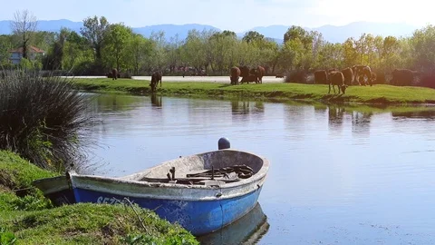 Spring-02 Video stock 89136084