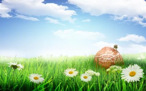 Spring 1 Stock Photos