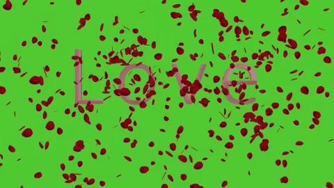 Spring 2022 Rose petals flying Love 3D animation green screen spring 2022 Stock Footage 169609187
