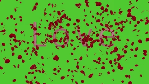 Spring 2022  Rose petals flying Love 3D animation green screen spring 2022 Stock Footage 169609188
