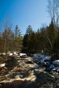 Spring 44 Stock Photos