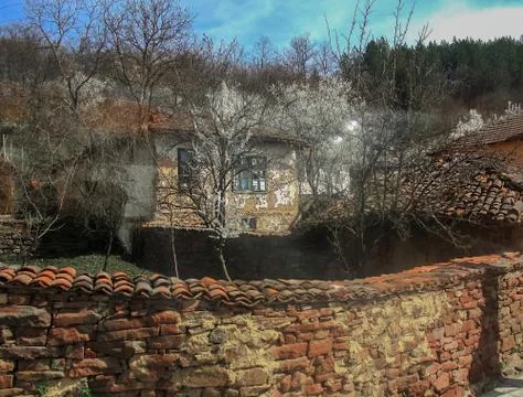 Spring in the abandoned village Stock Photos
