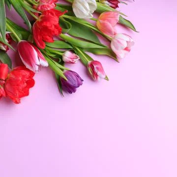 Spring abstract background with floral decor Stock Photos