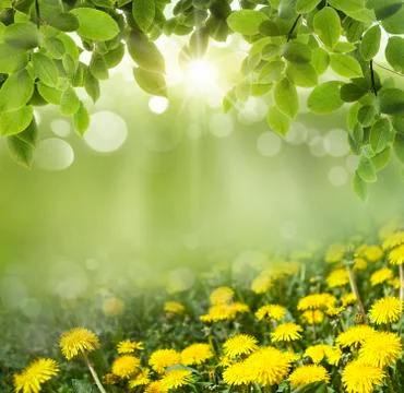 Spring abstract  background Stock Photos