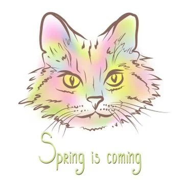 Spring abstract cat. Stock Illustration