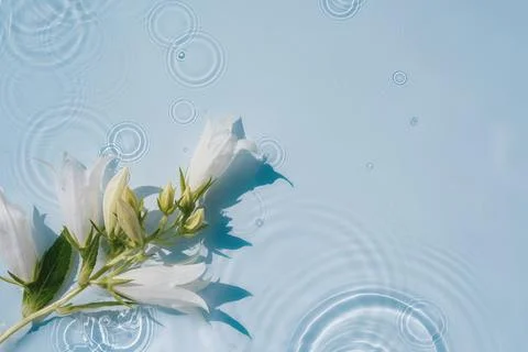 Spring abstract water background with raindrops and flowers 스톡 사진