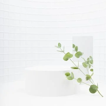 Spring abstract white scene one cylinder podium template for presentation cos Stock Photos