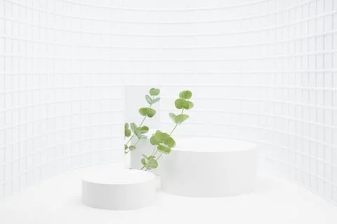 Spring abstract white stage with two round podiums mockup for presentation co Stock Photos