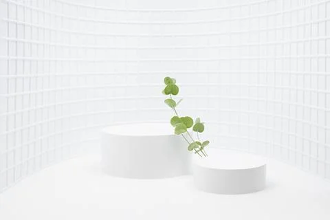 Spring abstract white stage with two round podiums mockup for presentation co Stock Photos