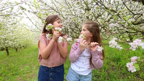 Spring Adventures: Playing in the Blooming Garden Stock Footage 301587125