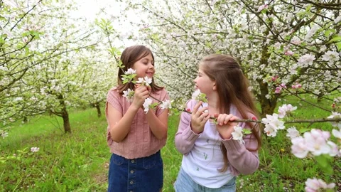 Spring Adventures: Playing in the Blooming Garden Stock Footage 301587138
