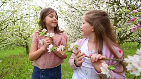 Spring Adventures: Playing in the Blooming Garden Stock Footage 301587168