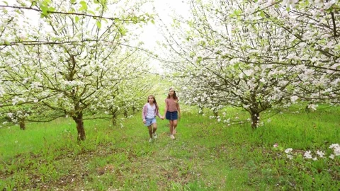 Spring Adventures: Playing in the Blooming Garden Stock Footage 301587204