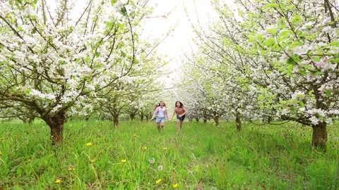 Spring Adventures: Playing in the Blooming Garden Stock Footage 301587632