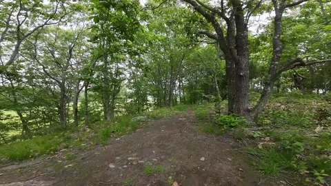 Spring Aerial Adventure: Fast FPV Drone Footage at Rocky Point Stockbeeldmateriaal 243367151