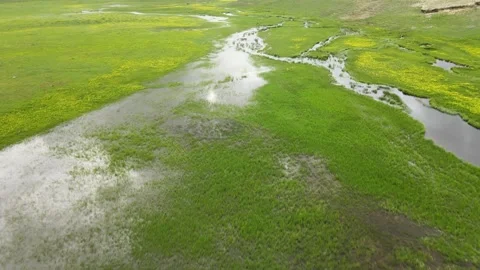 Spring aerial nature Stock Footage 242413569