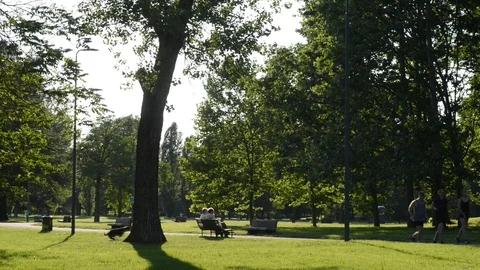 A spring afternoon at the park Stock Footage 91754894