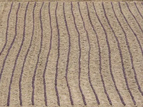 Spring agriculture background Stock Photos