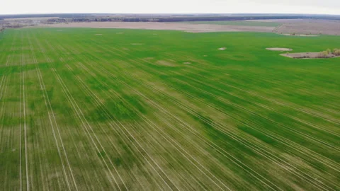Spring agriculture field and trees. Stock Footage 153241604