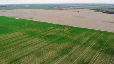 Spring agriculture field and trees. Stock Footage 153697837