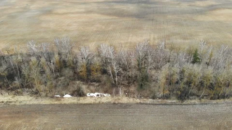 Spring agriculture field and trees. Stock Footage 155041929
