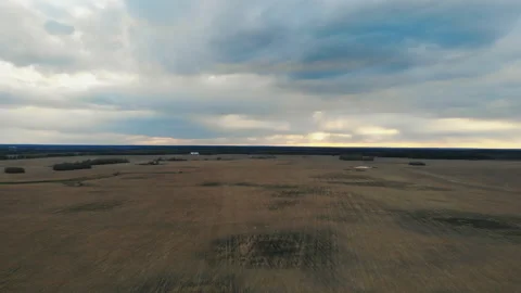 Spring agriculture field and trees. Stock Footage 156312411