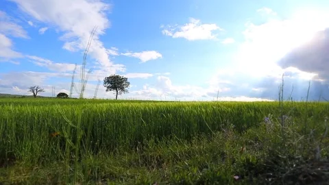 In the spring of agriculture Video stock 82533531