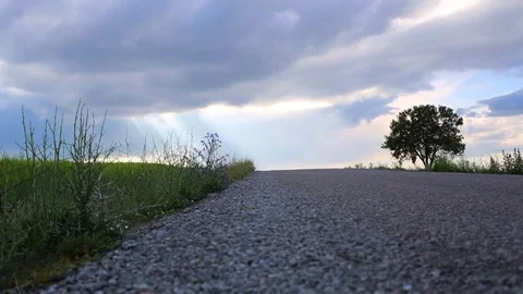 In the spring of agriculture Stock Footage 82533767