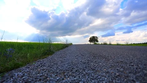 In the spring of agriculture Stock Footage 82533902