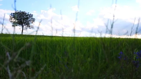 In the spring of agriculture Stock Footage 82534162