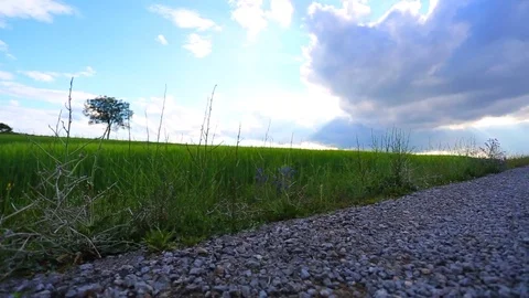 In the spring of agriculture Stock Footage 82534214